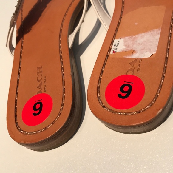 NWOB Coach Feather Sandal Size 6 - Picture 5 of 5